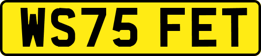WS75FET