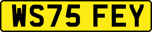 WS75FEY