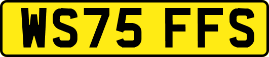 WS75FFS