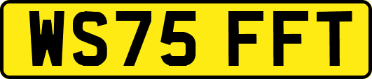 WS75FFT
