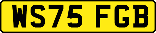 WS75FGB