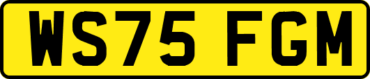 WS75FGM