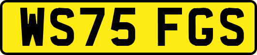 WS75FGS