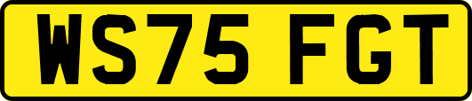 WS75FGT