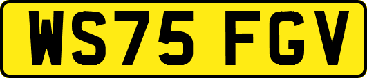 WS75FGV