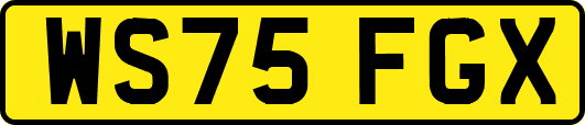 WS75FGX