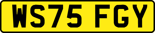 WS75FGY