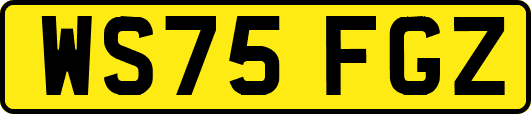 WS75FGZ