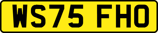 WS75FHO