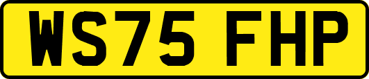 WS75FHP