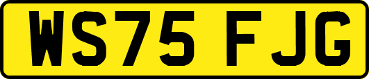 WS75FJG
