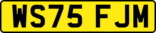 WS75FJM