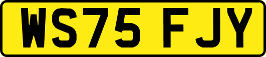 WS75FJY