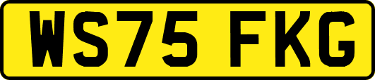 WS75FKG