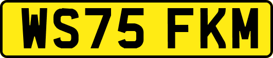 WS75FKM