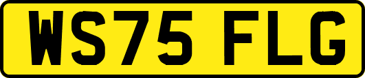 WS75FLG