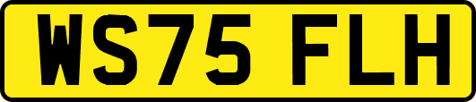 WS75FLH