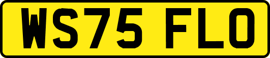 WS75FLO