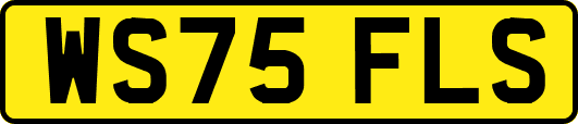WS75FLS