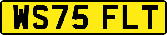 WS75FLT