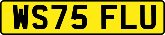WS75FLU