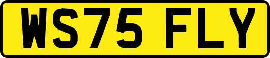 WS75FLY
