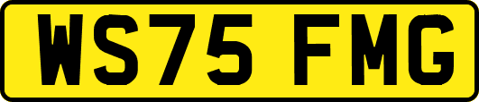 WS75FMG