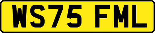 WS75FML