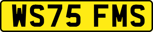 WS75FMS