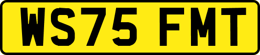 WS75FMT