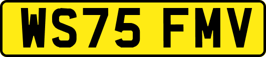 WS75FMV