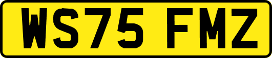WS75FMZ