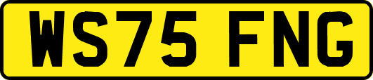 WS75FNG
