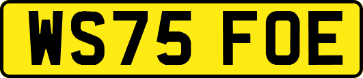 WS75FOE