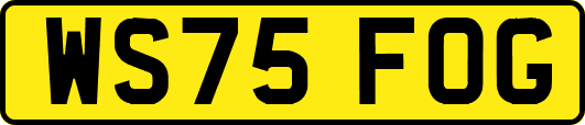 WS75FOG