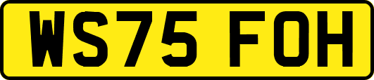 WS75FOH