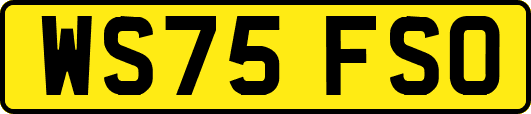 WS75FSO