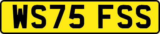 WS75FSS