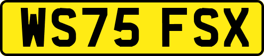 WS75FSX