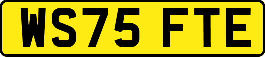 WS75FTE