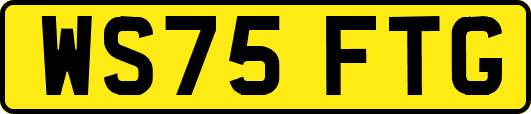 WS75FTG