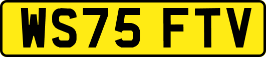 WS75FTV