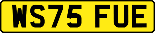 WS75FUE