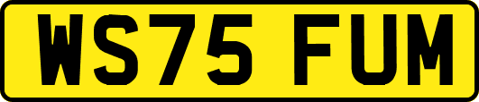 WS75FUM