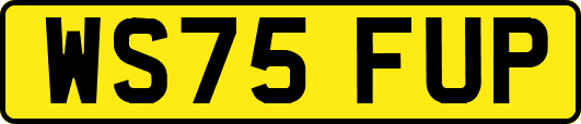 WS75FUP