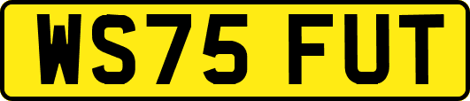 WS75FUT