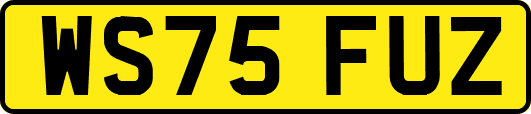 WS75FUZ