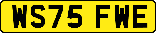 WS75FWE