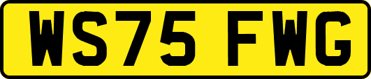 WS75FWG