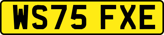 WS75FXE